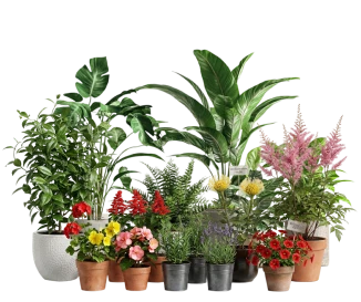 Hortícolas e Produtos para a Horta