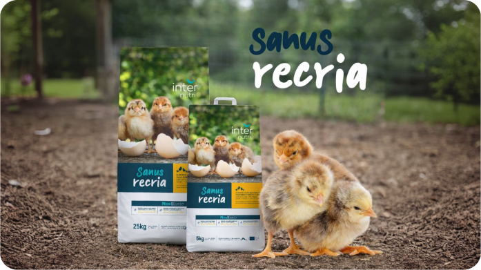 Conveniência que simplifica a rotina